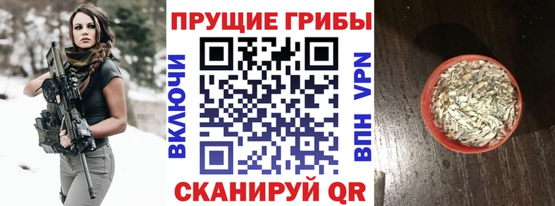 Псилоцибиновые грибы Psilocybine cubensis  купить наркотики сайты  Бакал 